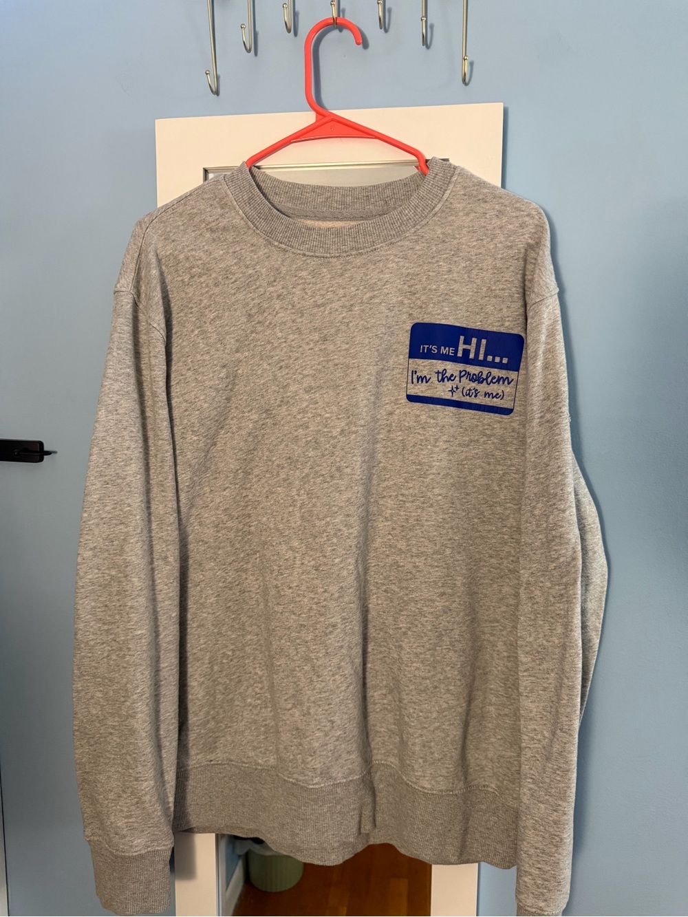Gray Crewneck Sweater with Custom Taylor Swift Lyrics/Graphics. Size: XL